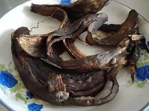 养花的盆要不要戳些洞,养花小知识小技巧大全图解