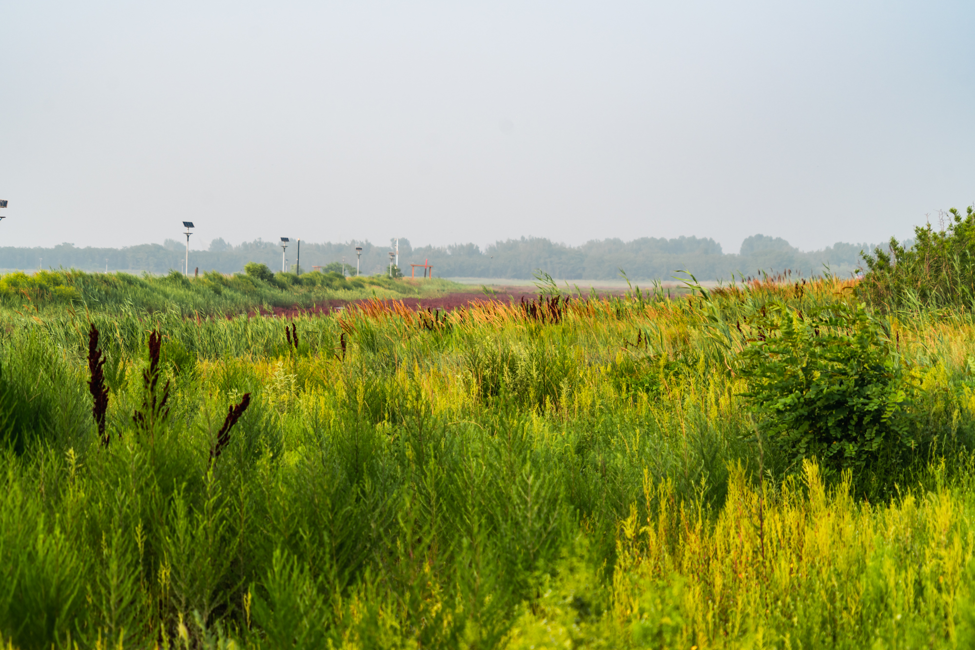 唐山适合1-4岁亲子游的地方,暑假遛娃旅游推荐唐山