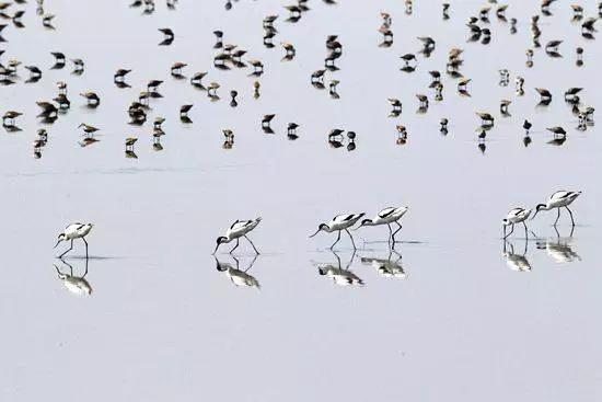 辽宁旅游景点推荐3天自由行,辽宁学生旅游景点推荐