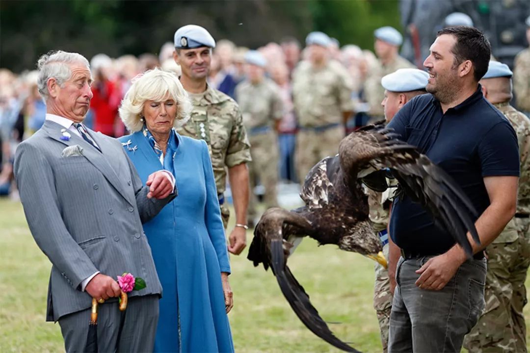 凯特王妃不小心鞋跟掉到排水道口,凯特王妃被踢
