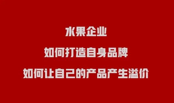 水果产品的商业模式方案总结,批发商怎么打造自己的水果品牌