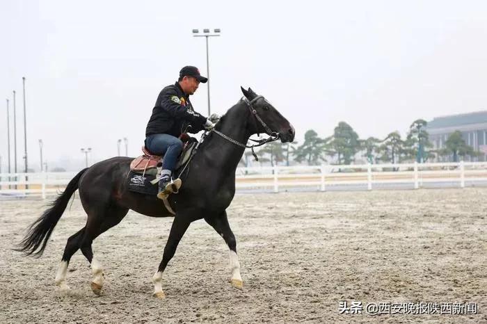 十四运会观赛,十四届运动会邮票珍藏