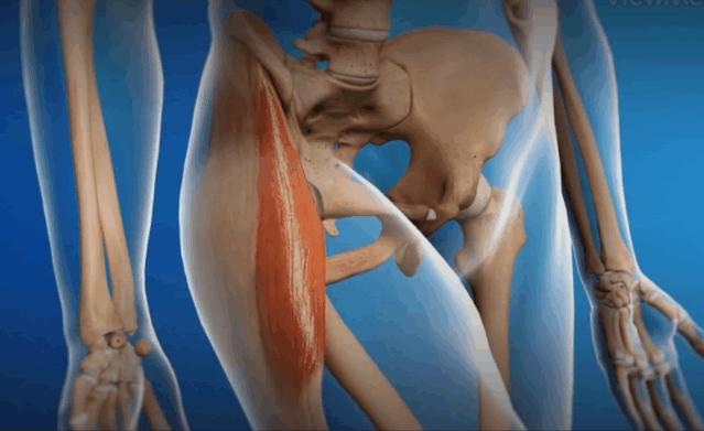 运动肩膀咔咔响是怎么回事,运动时关节咔咔响怎么解决