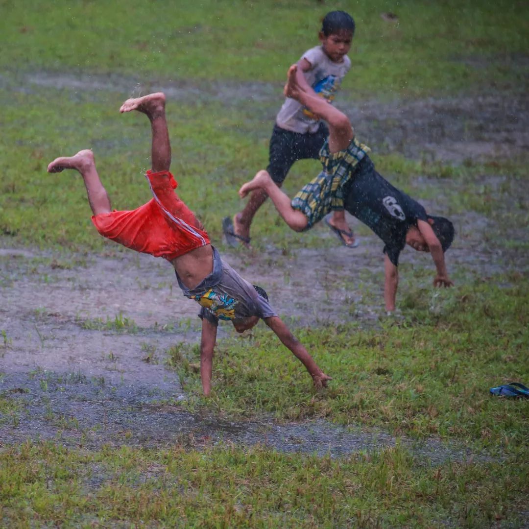 领略亚马孙百闻不如一见，随陈靖文来场视觉与思想的深度游