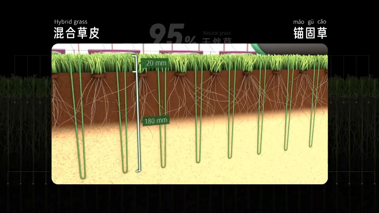 为什么那么多人吐槽中国足球,为啥中国足球比赛少