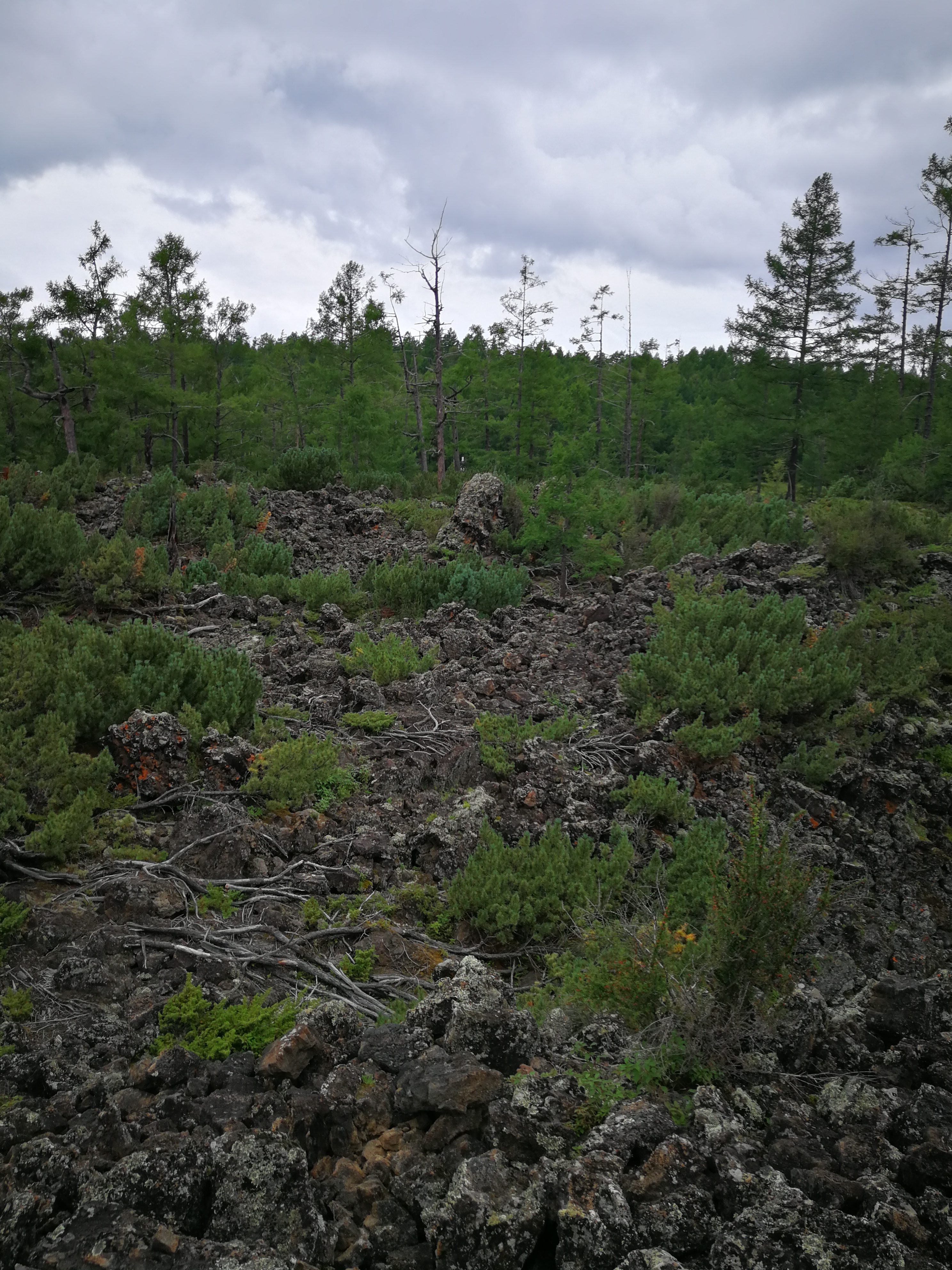 北京游阿尔山路线攻略,北京阿尔山旅游自由行攻略