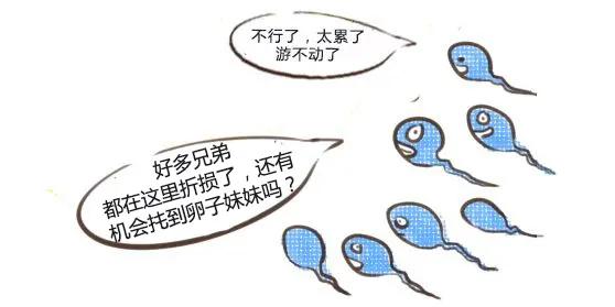 孩子总保不住，原来是与反复发作的阴道炎有关