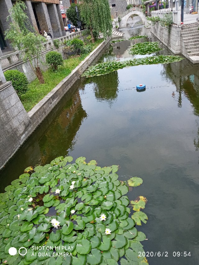 芒种种出新希望,芒种和幸福播种