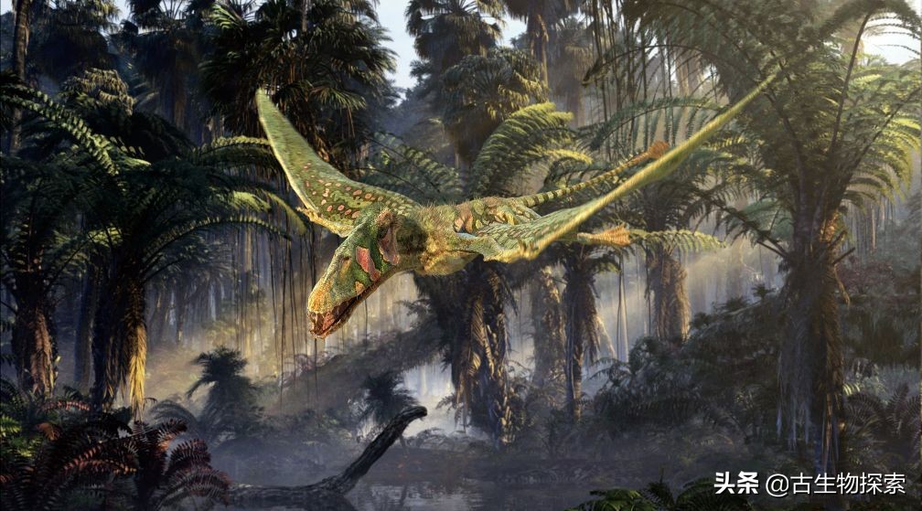 侏罗纪世界翼龙品种,侏罗纪翼龙是肉食还是草食