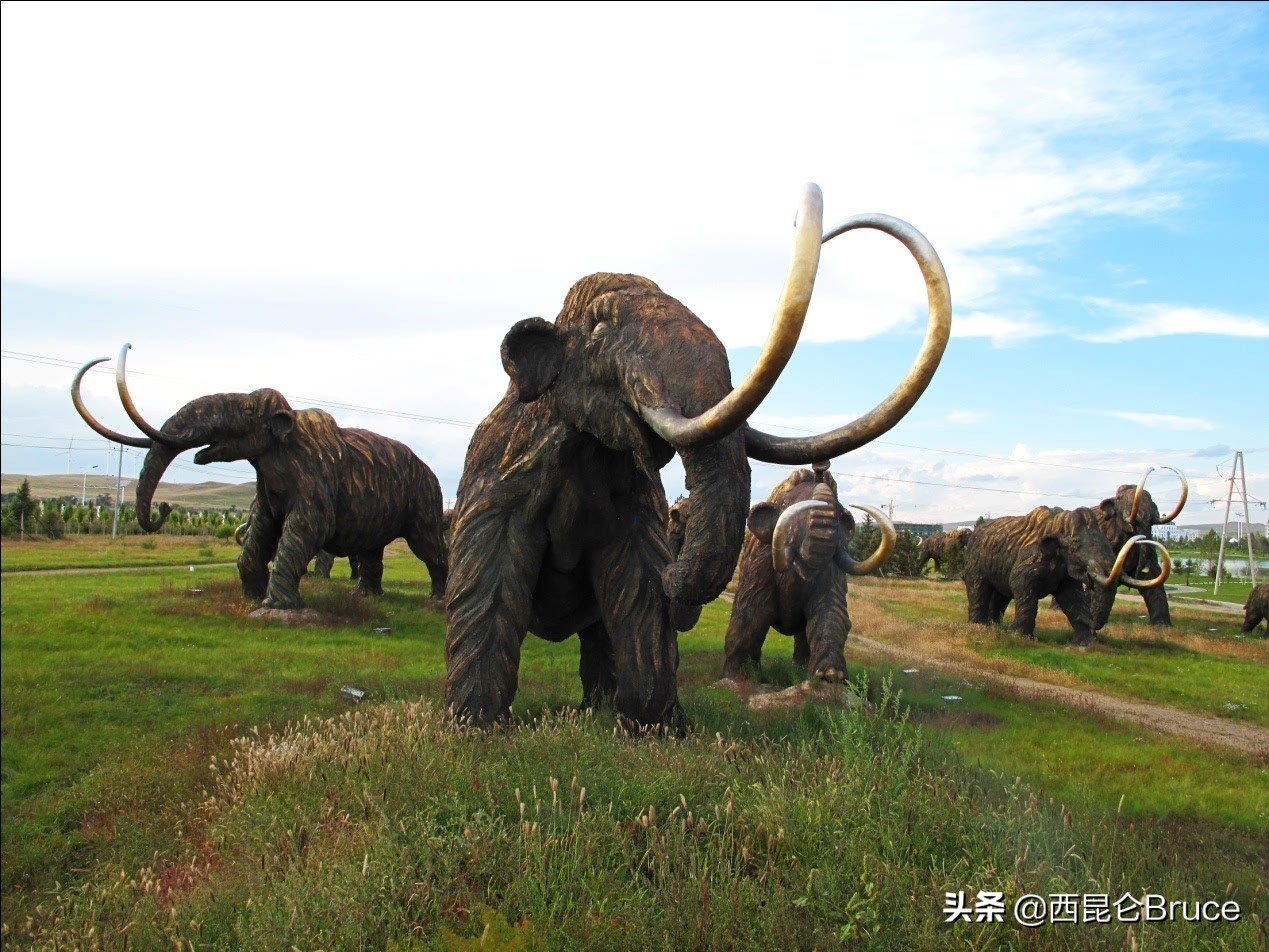 猛犸象还有几年才能复活,猛犸象有望复活