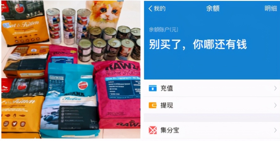 喂？110吗，我的钱都被猫咪骗走了