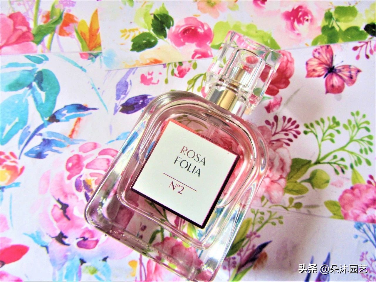 鲜花和香水的区别,鲜花和香水礼物的区别在哪