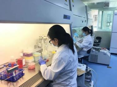 广东中医肿瘤医院排名第一,广州市一院肿瘤医院排名第一