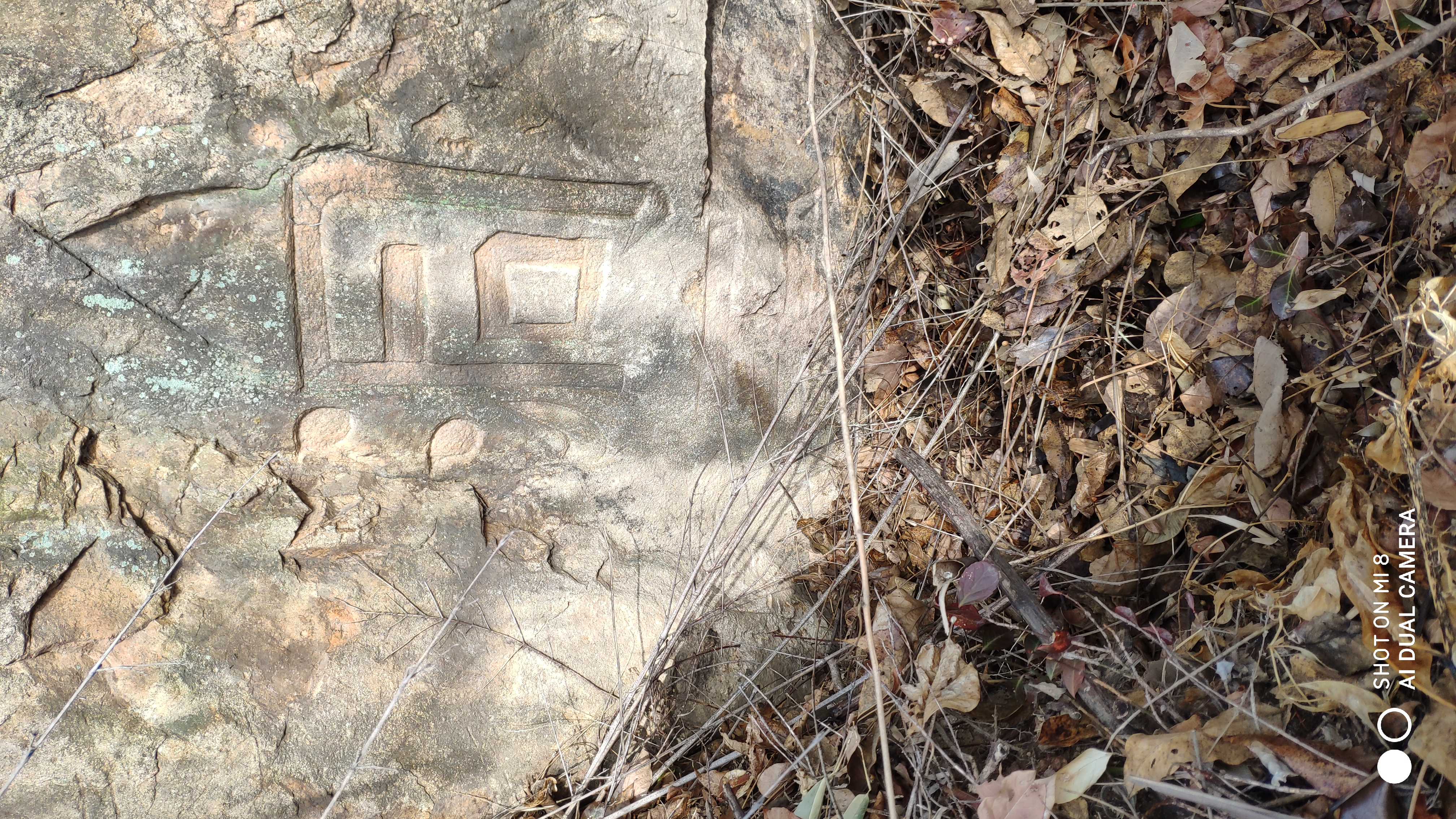 崂山水畔菜蔬鲜，黄石洞中书韵长