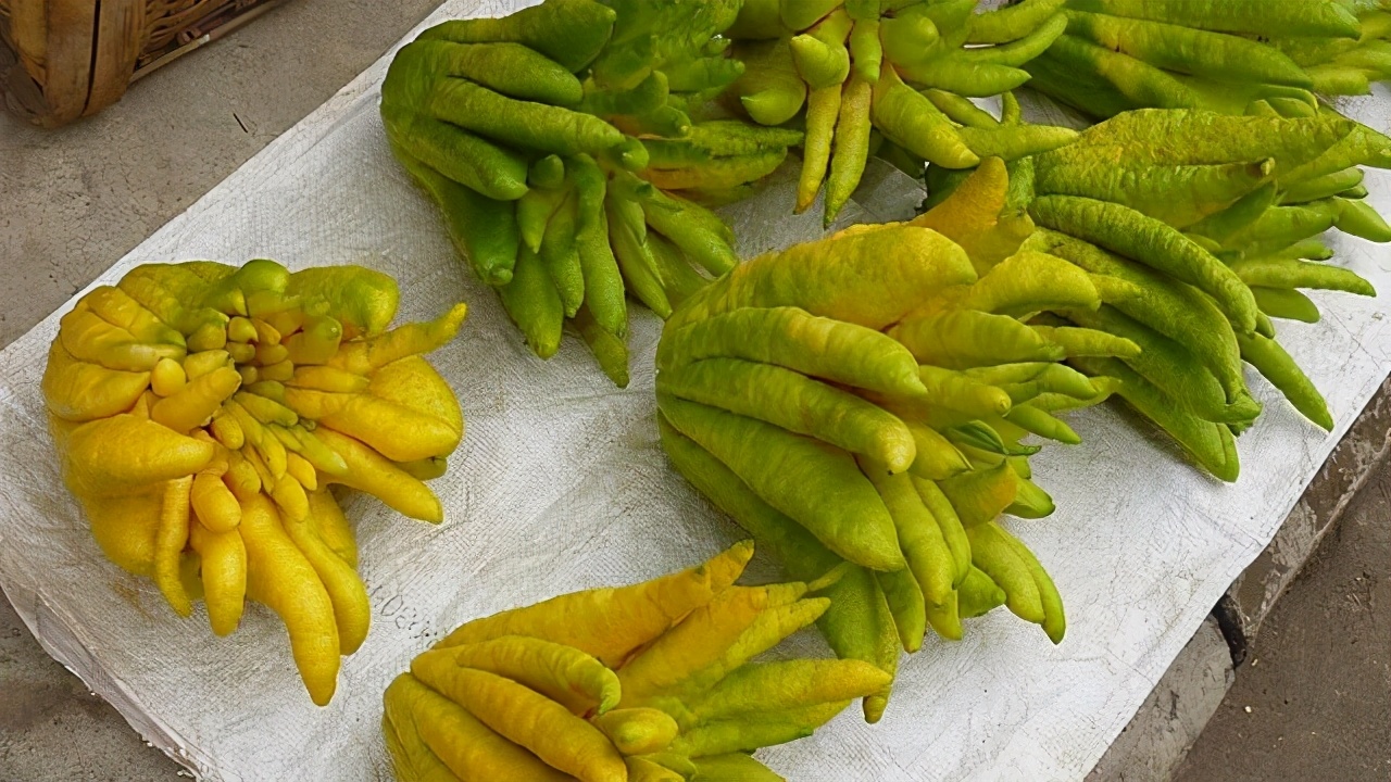 十副千古经典对联并赏析,解读四副最经典的对联