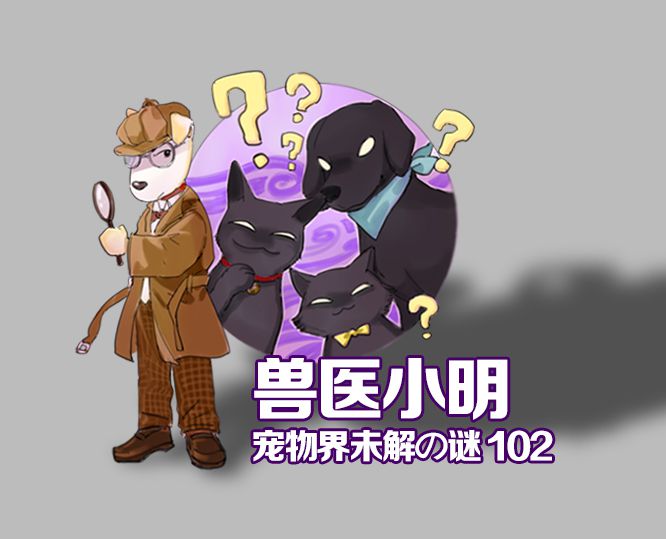 鐙楁參鎬ц偩琛拌兘鍚冮浮铔嬪悧,鐙楃嫍鑲捐“鍙互鍚冮浮铔嬪悧