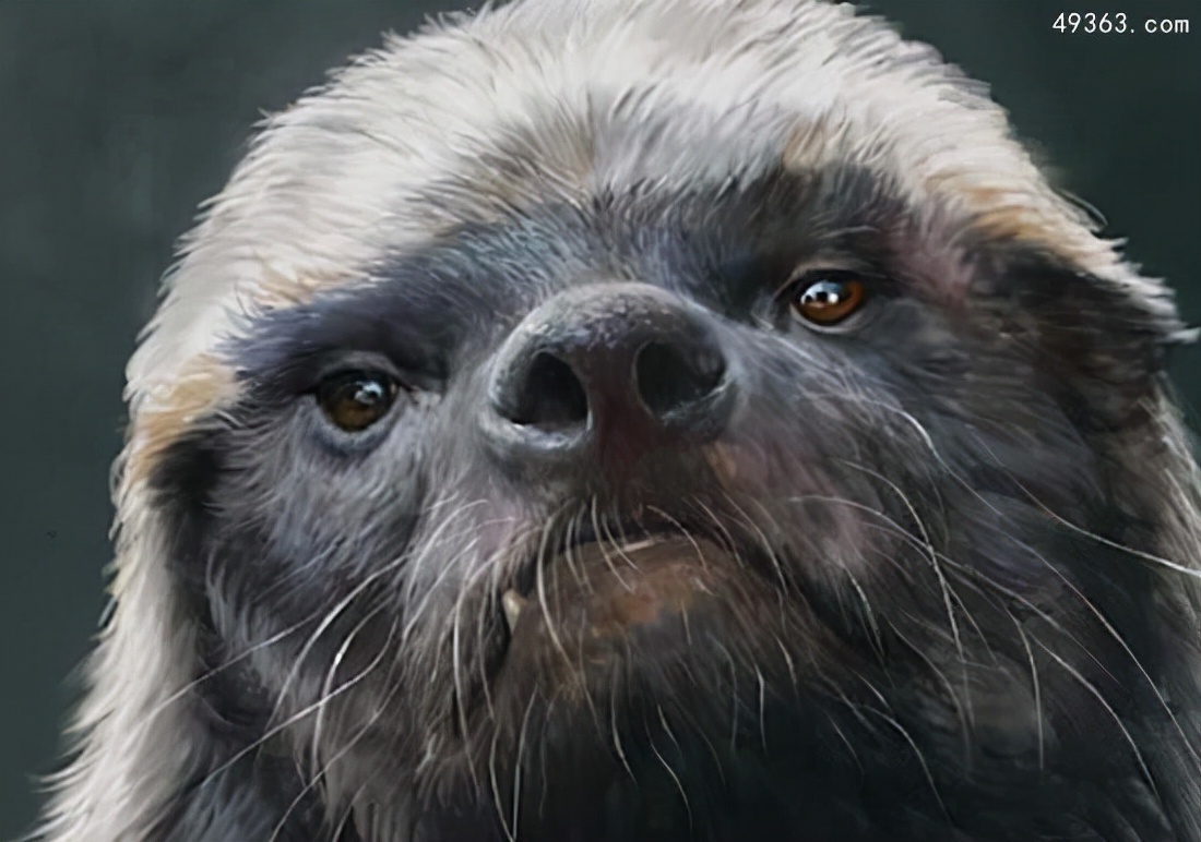 蜜獾平头哥和科莫多巨蜥,平头哥蜜獾为什么不怕蛇