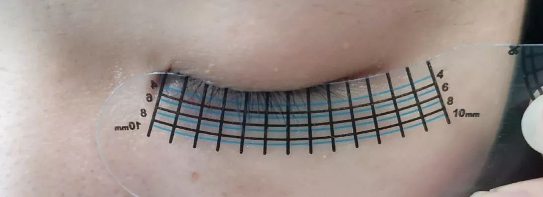 几十块钱美睫毛,几十块钱的睫毛增长液有效果吗