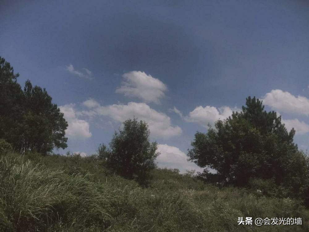 分享一波小可爱的句子,分享一句撩人的话