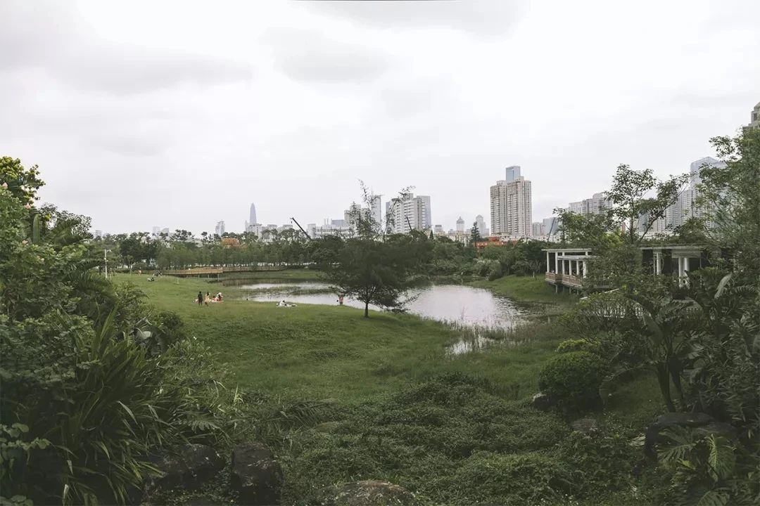 去深圳免费游玩的10个地方,深圳免费游玩景点推荐