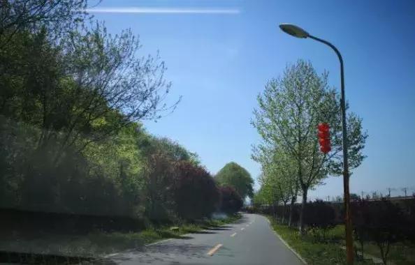 太全了,南京人少景美的免费公园