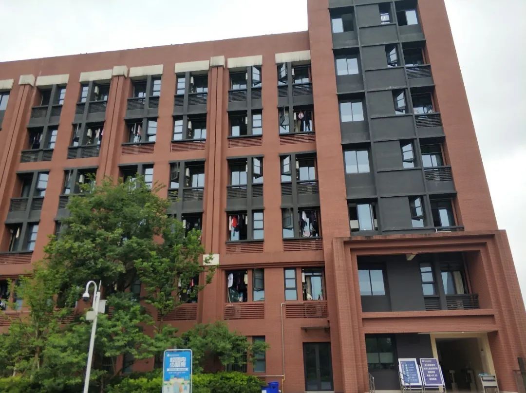 沙坪坝最好的中学校,沙坪坝区初中学校排名