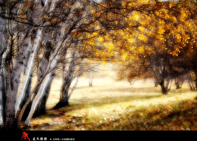 灏煎悍澶氶噸鏇濆厜鏁欑▼,浣宠兘澶氶噸鏇濆厜鏁欑▼