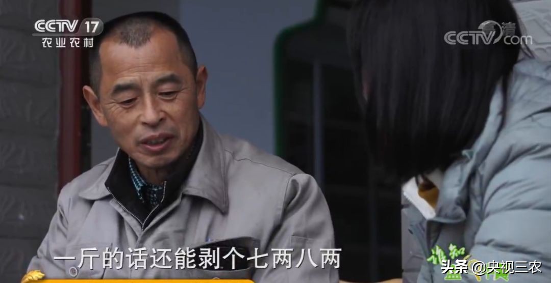 冬笋没能去除麻涩味吃了有害吗,冬笋如何焯水去涩味放冰糖和白醋