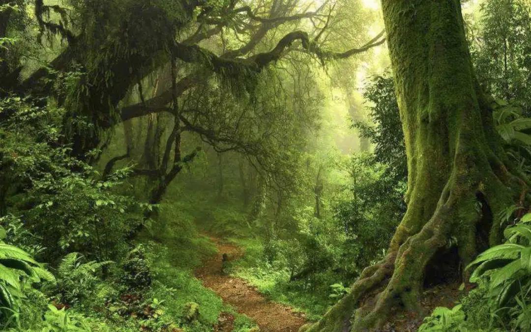巴西的国庆节节在几月几日,巴西国庆节节是几月几日