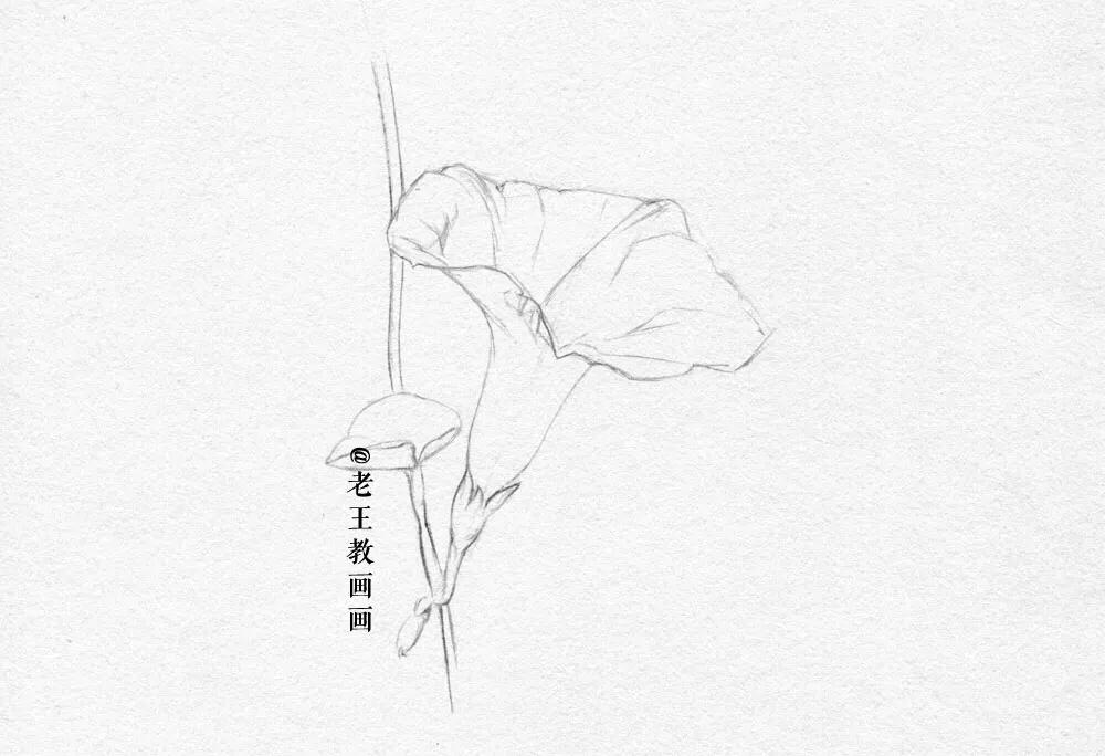 小白学习素描需要准备什么,小白学素描入门教程