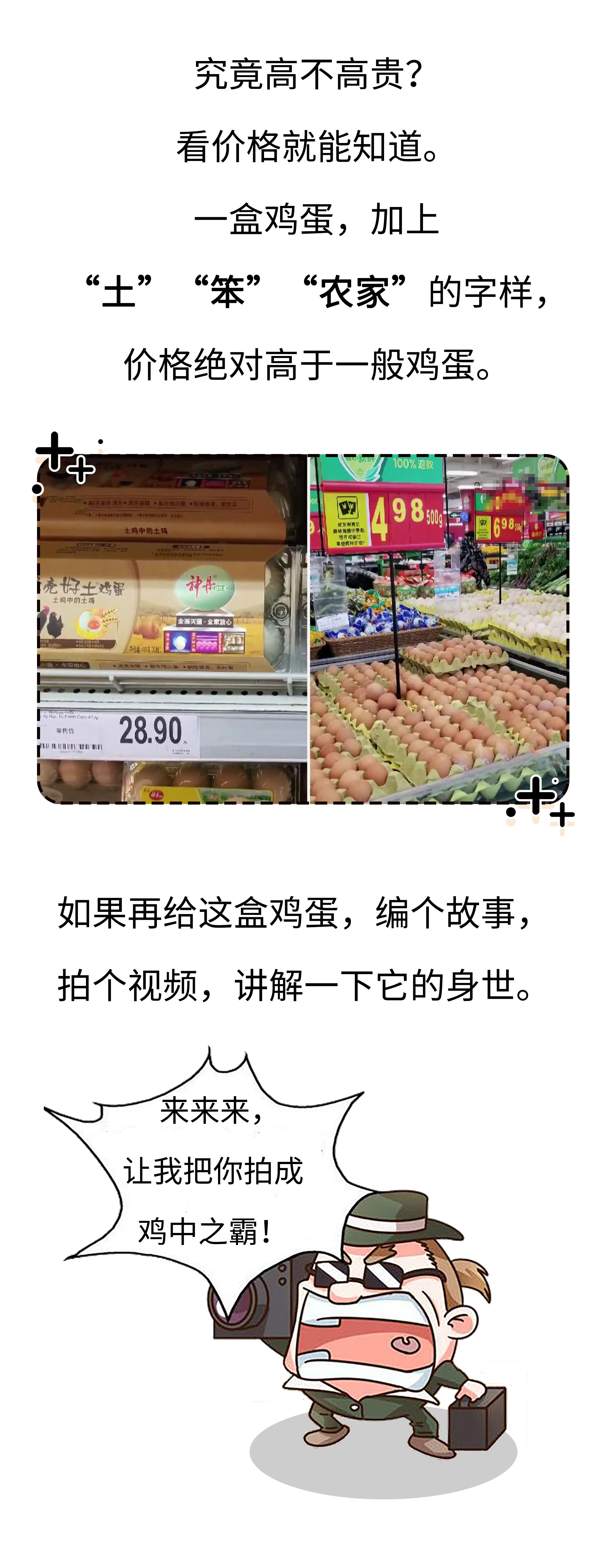 高价格，假广告，毒饲料，如何避免吃到不靠谱的鸡蛋（菲李漫画）
