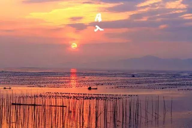 读懂十二时辰就读懂了我们的一生,读懂十二时辰就懂了中国人的一天