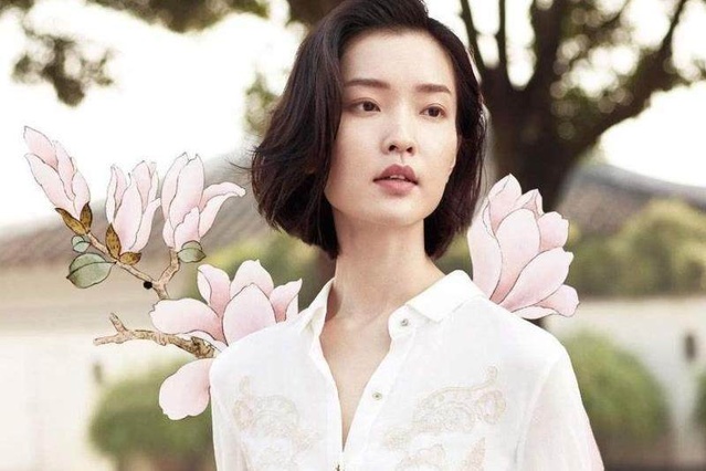 柳叶眼和桃花眼合在一起的眼型,柳叶眼和桃花眼的主要区别是什么