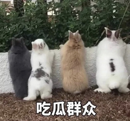 这些网络热词你知道几个,最近很火的网络热词你都知道吗