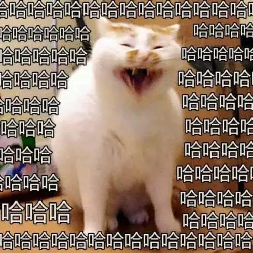 珠海长隆亲子游攻略自由行,珠海长隆亲子游最佳攻略