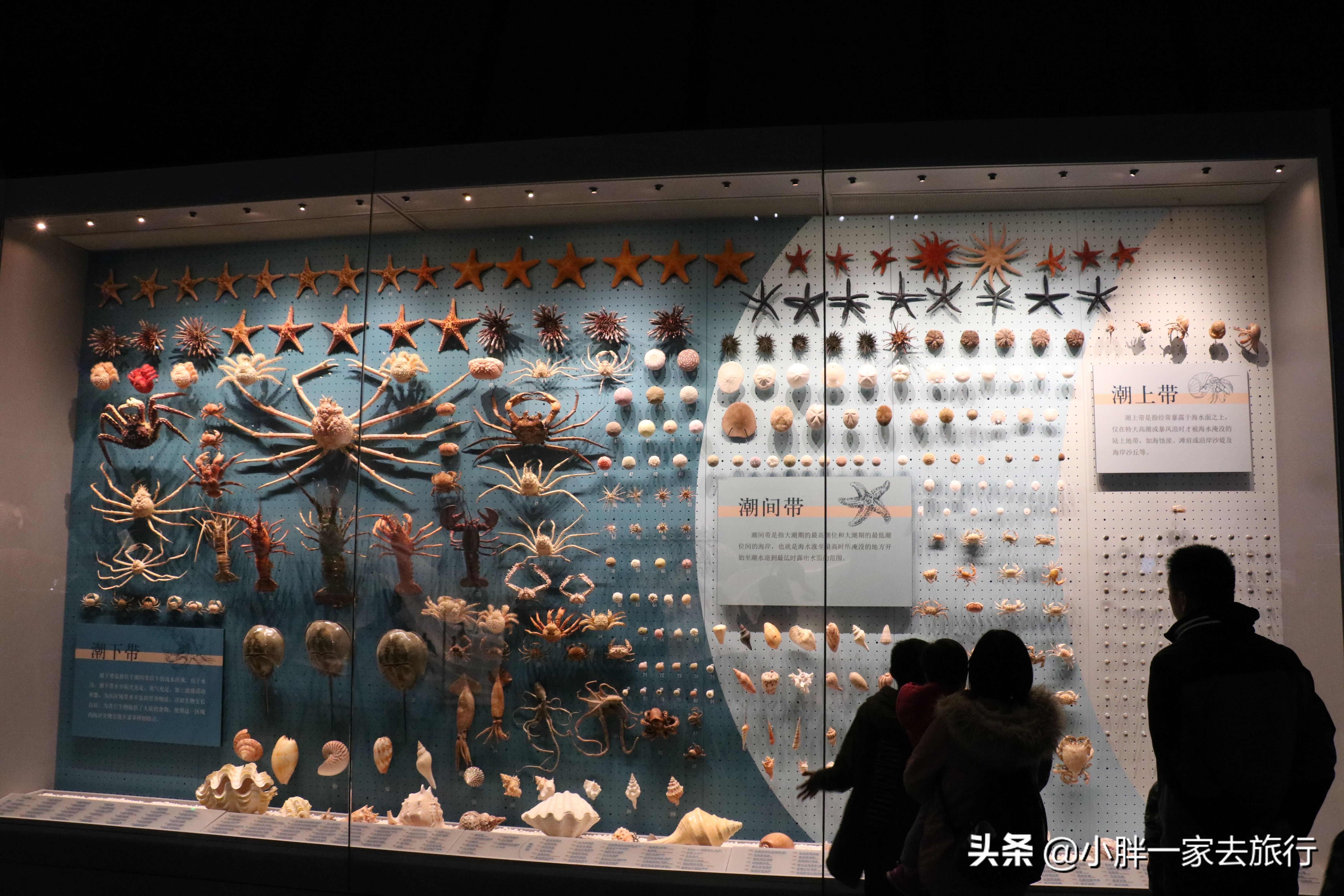 最大的北京海洋博物馆,海上故宫国家海洋博物馆