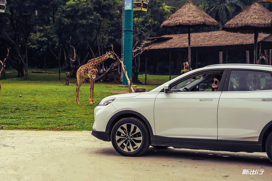 打卡长隆动物园记田妈和威马EX5520的周末