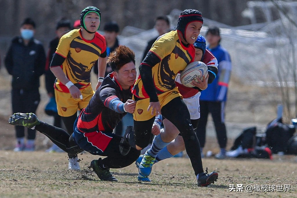 英式橄榄球今日赛程,2023年英式橄榄球中日韩青年比赛
