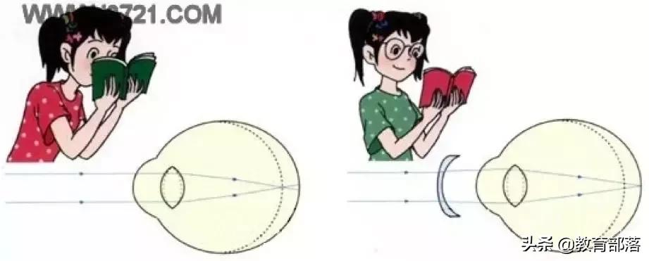 初中生物会考复习计划,初中生物会考复习资料全套