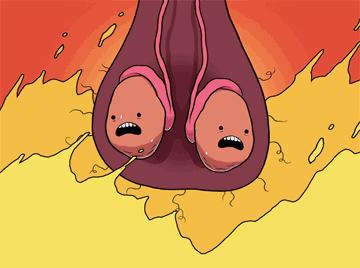 男人也要备孕,都1202年了什么梗