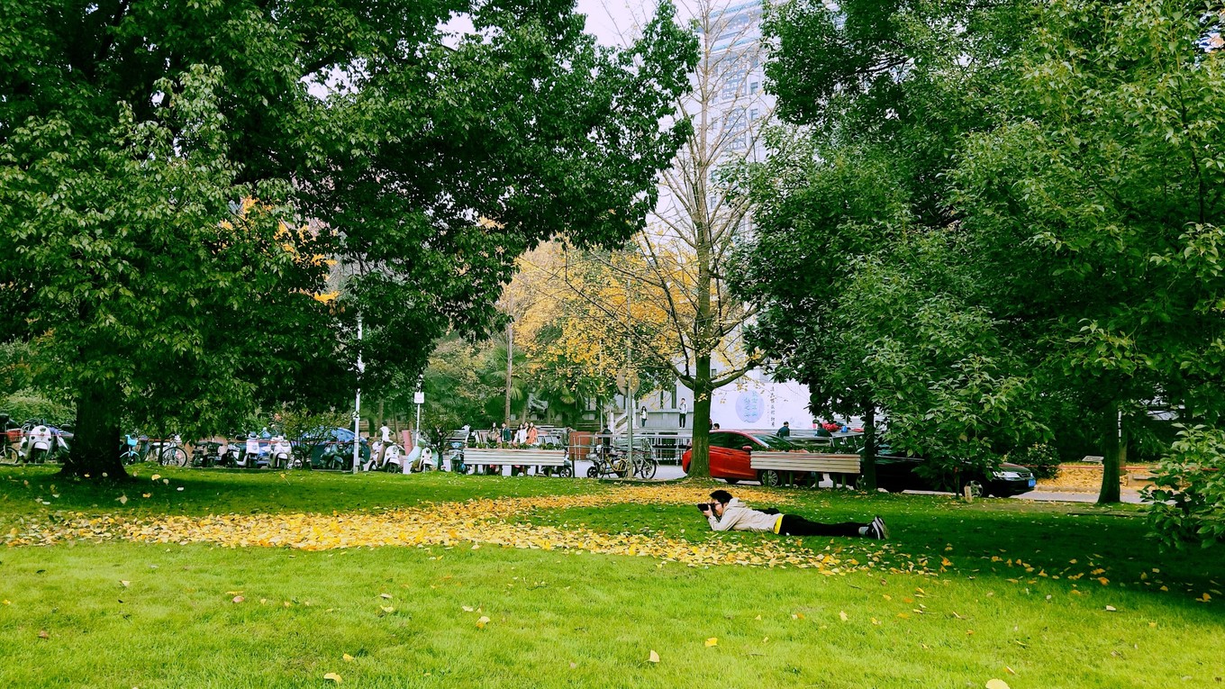 武汉开学震撼画面,夏季的武汉大学风景