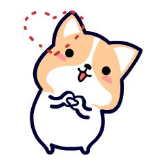 夏日持妆化妆大法,每日化妆小秘密