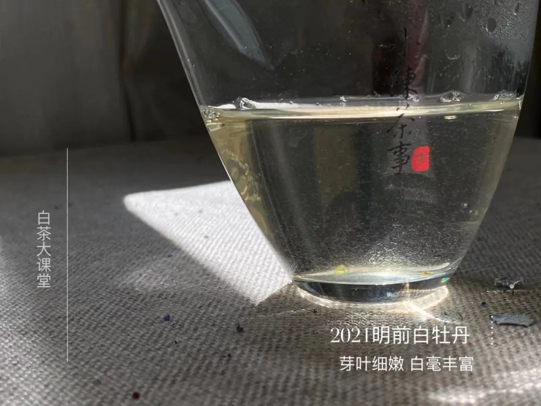 新白茶寒凉像绿茶，老白茶喝起来则像红茶？这种说法有道理吗？