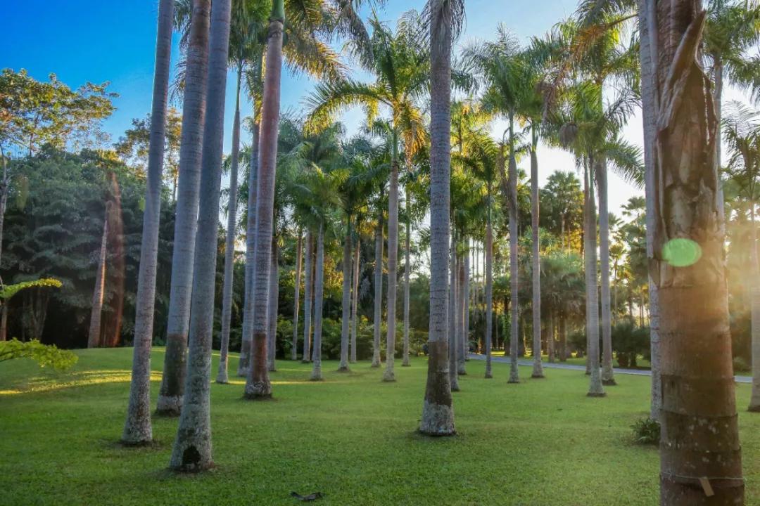 春节风景绝美的旅行地小众,春节云海旅游攻略