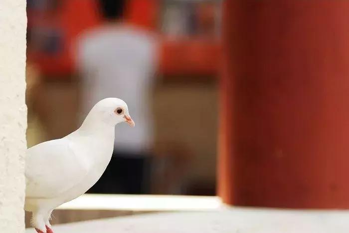 人死后去阴间的全过程，看醒了很多人！