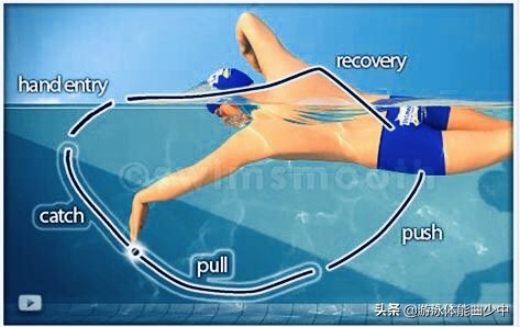 自由泳如何突破2分30秒瓶颈,自由泳遇到瓶颈不知怎么练如何办