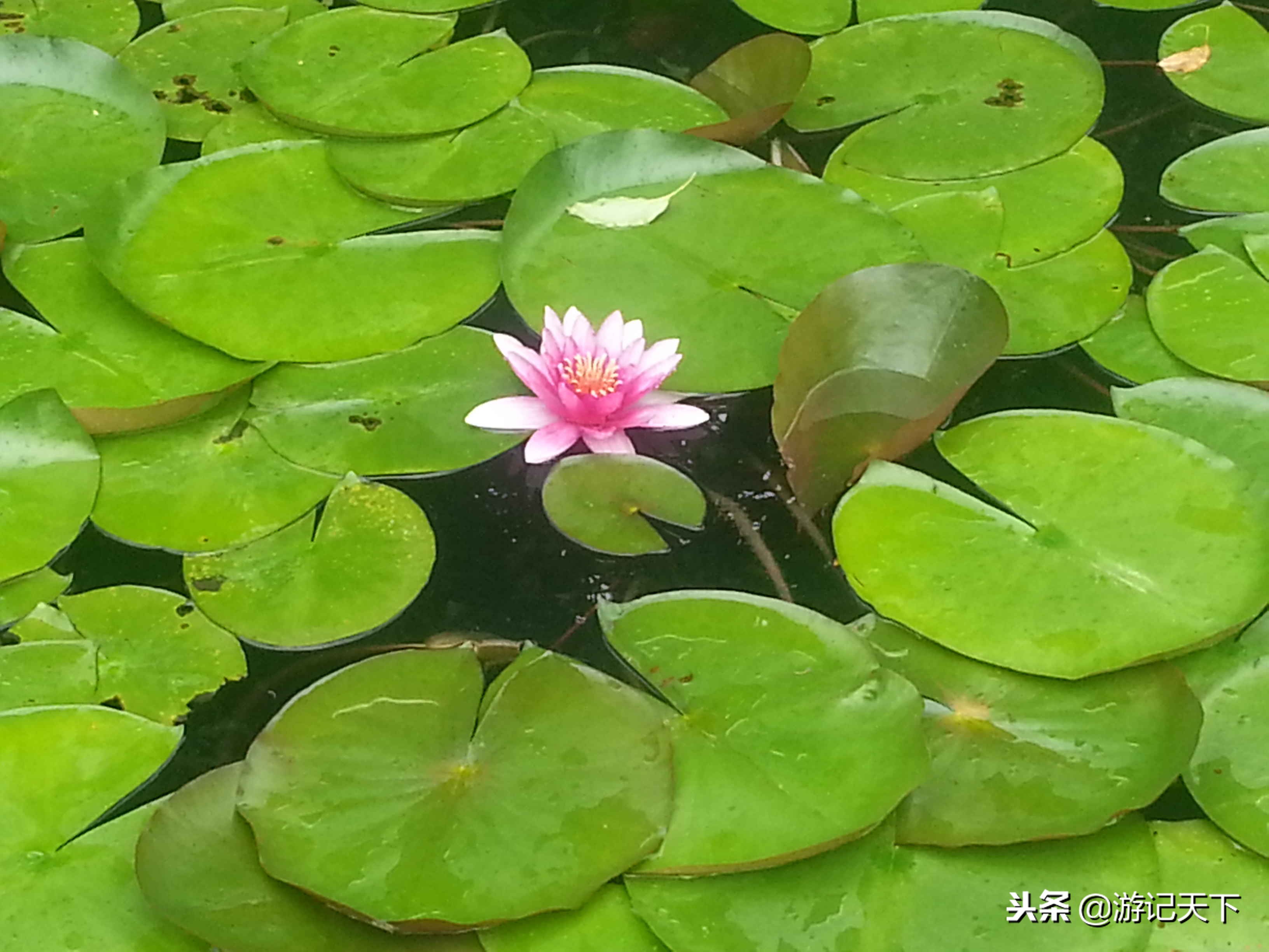 亚洲第一瀑——黄果树大瀑布