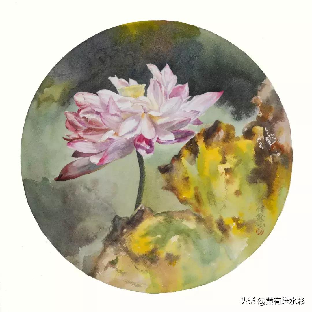 小清新水彩画玫瑰花,水彩画雨中玫瑰