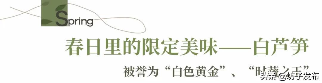 鎴戜滑鏉ュ埌浜嗕腑鍥界殑鑺︾瑡涔嬩埂,鍧婂瓙鑺︾瑡