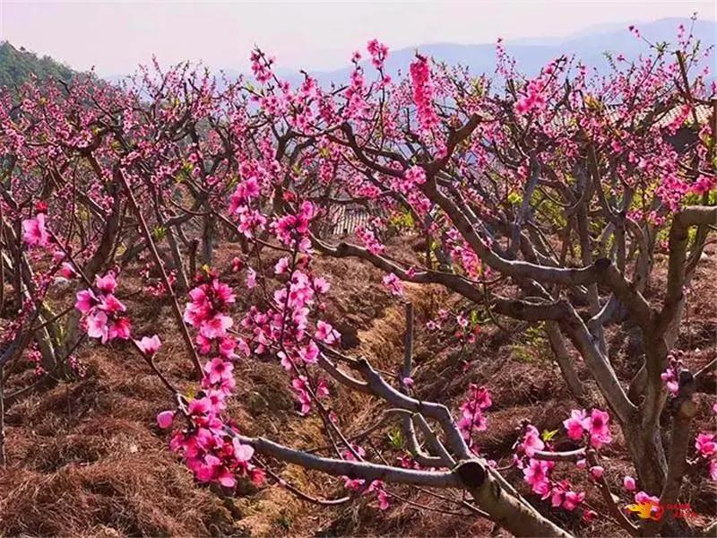 瞧！这花花世界谁不爱